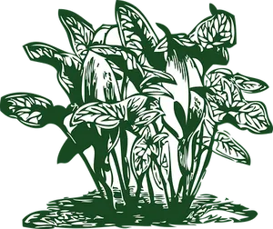 Green Leafy Plant Illustration PNG Image