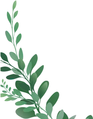 Green Leaves Against Blue Background PNG Image