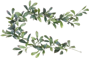 Green Leaves Black Background PNG Image