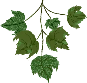 Green Leaves Dark Background PNG Image