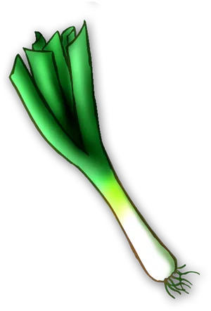 Green Leek Illustration PNG Image