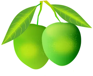 Green Mangoes With Leaves PNG Image