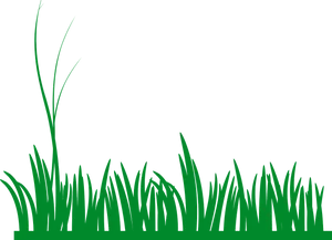 Green Meadow Grass Silhouette PNG