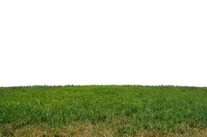 Green Meadow Horizon PNG Image