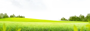 Green Meadow Skyline PNG Image