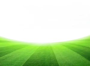Green Meadow Sunlight Shadow PNG