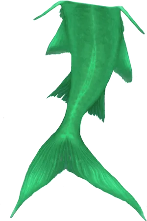 Green Mermaid Tail Graphic PNG Image