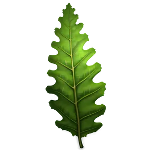 Green Oak Leaf Graphic Png 06292024 PNG Image