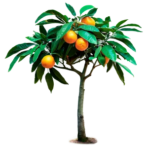 Green Orange Tree Png 5 PNG Image