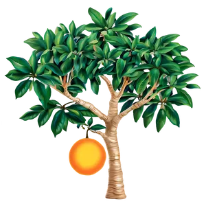 Green Orange Tree Png Aap21 PNG Image