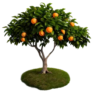 Green Orange Tree Png Nfo PNG Image