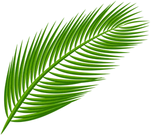 Green Palm Leaf Clipart PNG Image