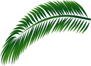 Green Palm Leaf Vector PNG Image