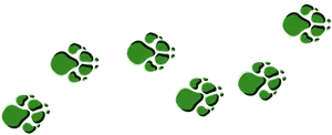 Green Paw Printson Black Background PNG Image