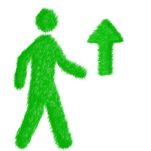 Green Pedestrian Signal Arrow PNG Image