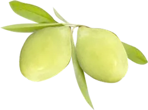 Green Plums With Leaves PNG Image