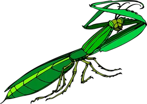 Green Praying Mantis Illustration PNG Image