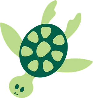 Green Sea Turtle Illustration PNG Image