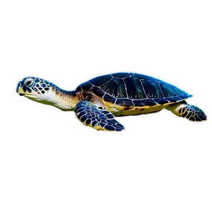 Green Sea Turtle Profile Png 06292024 PNG Image