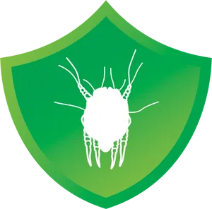 Green Shield Virus Icon PNG Image