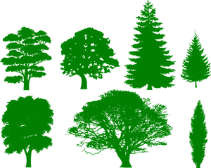 Green Silhouette Treeson Black Background PNG