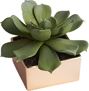 Green Succulentin Copper Pot PNG Image