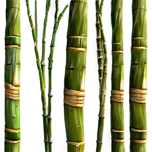 Green Sugarcane Stalk Png Ood23 PNG Image