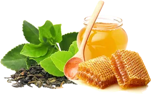 Green Tea Honey Ingredients PNG Image