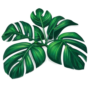 Green Tropical Leaf Illustration Png 21 PNG Image