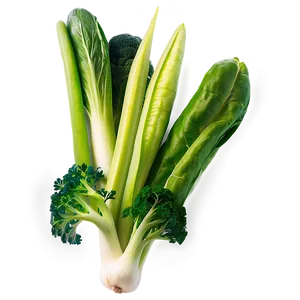 Green Vegetable Mix Png 29 PNG Image