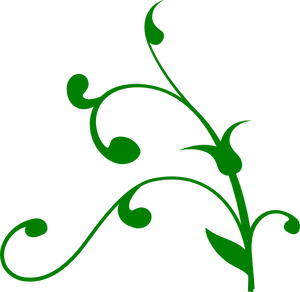 Green Vine Flourish Graphic PNG Image