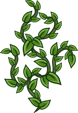 Green Vine Illustration PNG Image