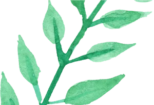 Green Watercolor Leaves Artwork PNG Image