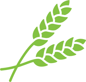 Green Wheat Icon PNG Image