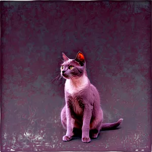 Grey Cat Png Ydx39 PNG Image