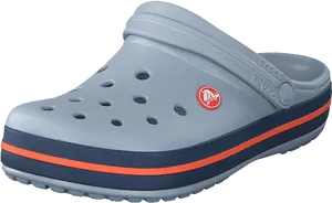 Grey Crocswith Redand Blue Stripes PNG Image