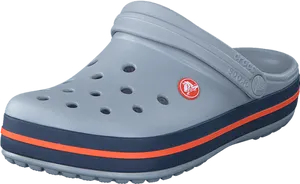 Grey Crocswith Redand Blue Stripes PNG Image