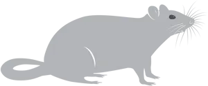 Grey Rat Silhouette PNG Image