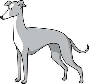 Greyhound Cartoon Illustration PNG Image