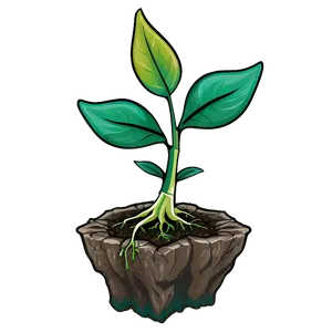 Growth Sprout Png Age58 PNG Image