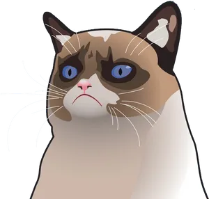 Grumpy_ Cat_ Cartoon_ Expression.png PNG Image