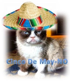 Grumpy Cat Cinco De Mayo Hat Meme PNG Image