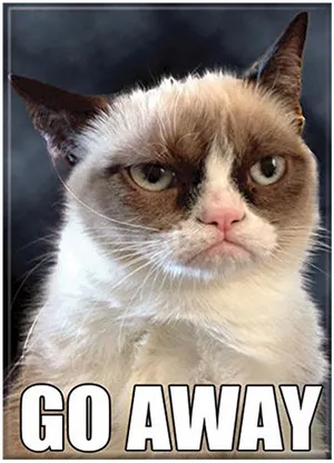 Grumpy Cat Go Away Meme PNG Image