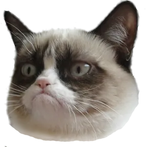 Grumpy Cat Head Transparent Background.png PNG Image