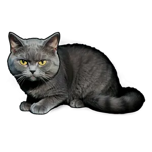 Grumpy Grey Cat Png 97 PNG Image