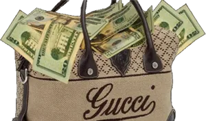 Gucci Bagwith Cash PNG Image