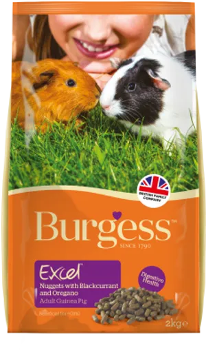 Guinea Pig Foodwith Blackcurrant PNG Image