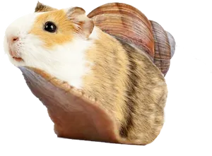 Guinea Pig Shell Hybrid Creature PNG Image