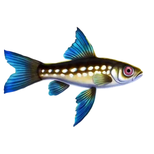 Guppy Fish Shadow Png Apa PNG Image