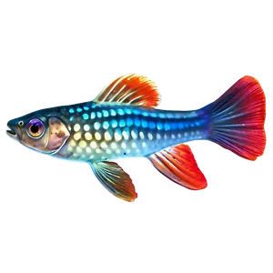 Guppy Fish Shadow Png Wgl97 PNG Image